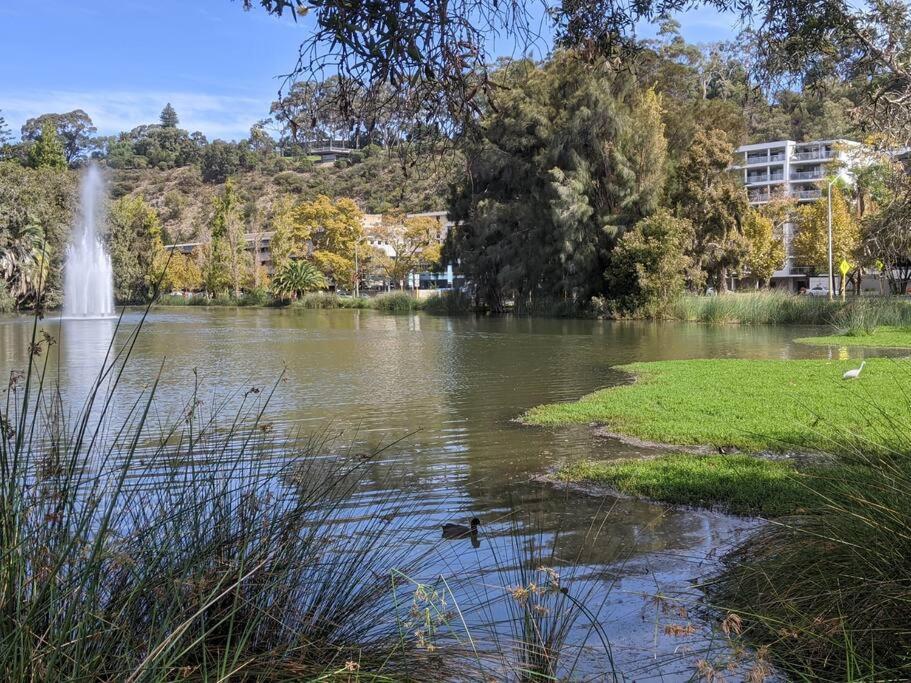 City & Lakeside With Free Parking, Pool And 10 Mins Walk Into The City Perth Exteriör bild